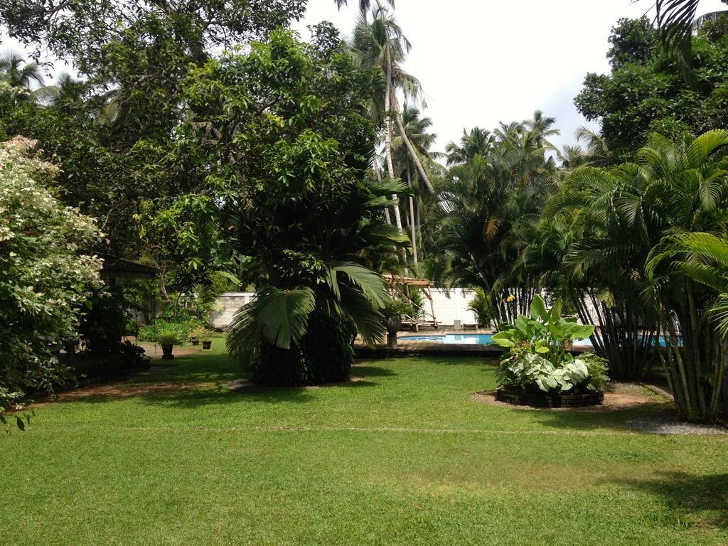 Fire Dragon Hideaway Hotel Negombo Exterior photo