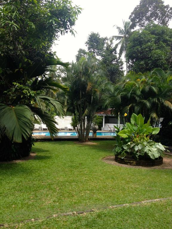 Fire Dragon Hideaway Hotel Negombo Exterior photo