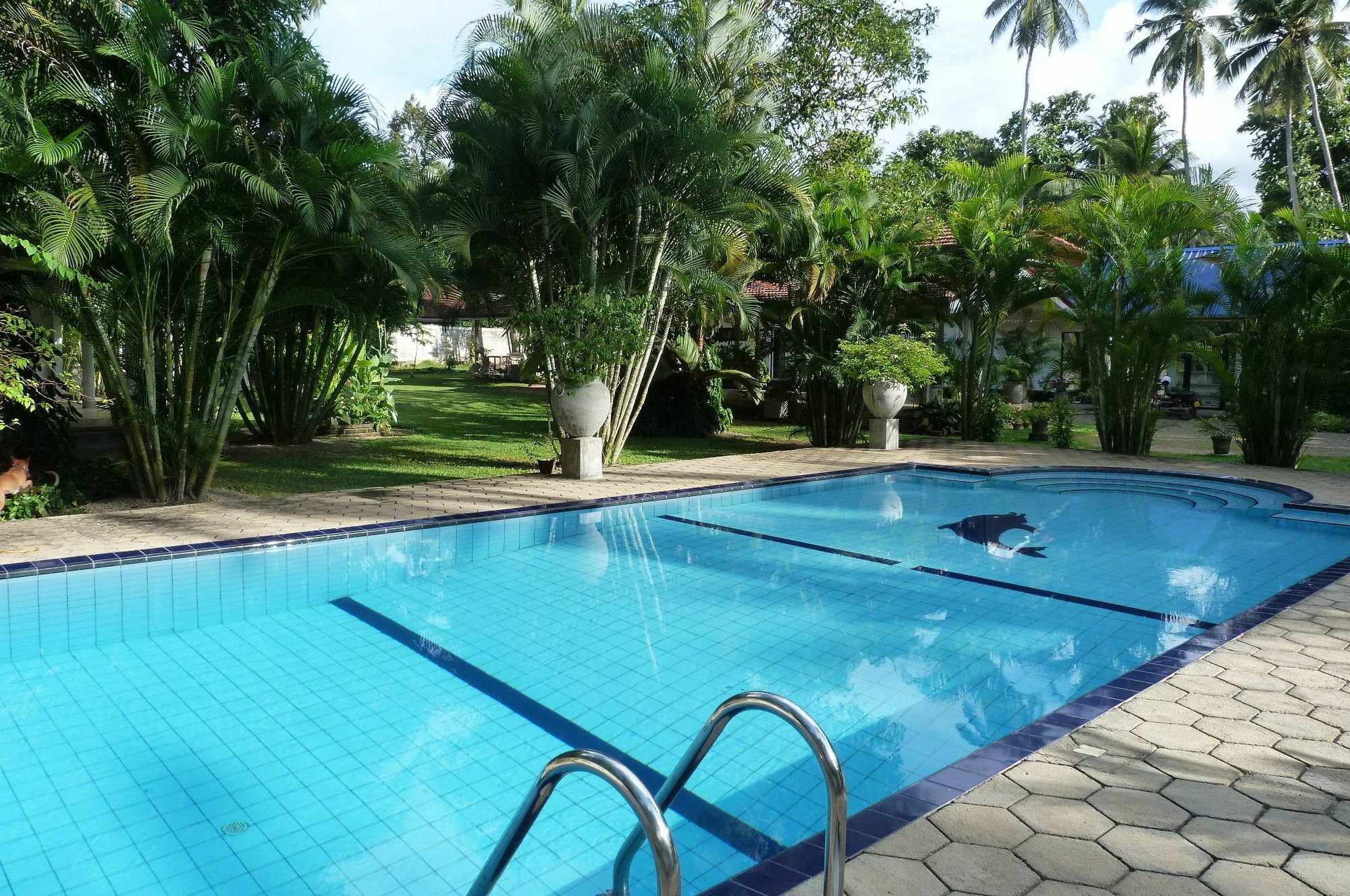 Fire Dragon Hideaway Hotel Negombo Exterior photo