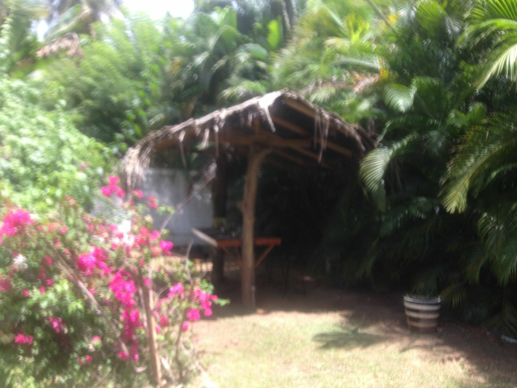 Fire Dragon Hideaway Hotel Negombo Exterior photo