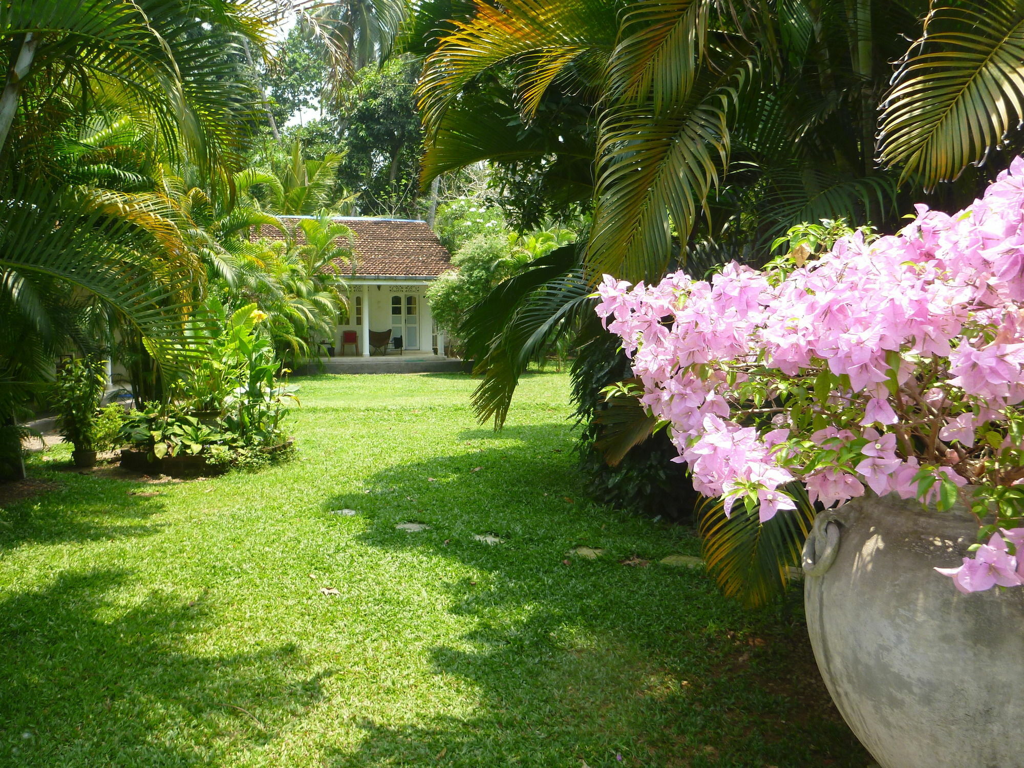 Fire Dragon Hideaway Hotel Negombo Exterior photo
