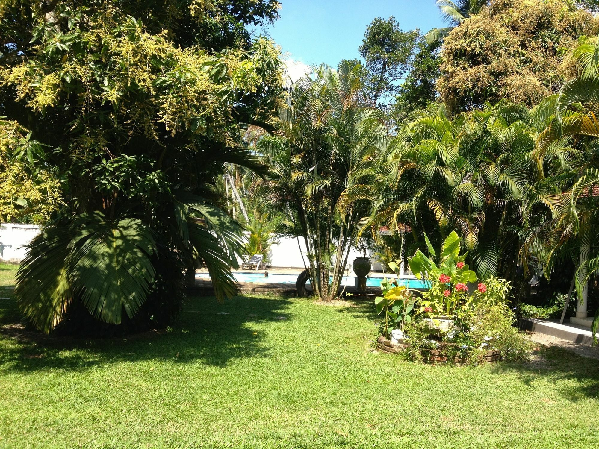 Fire Dragon Hideaway Hotel Negombo Exterior photo