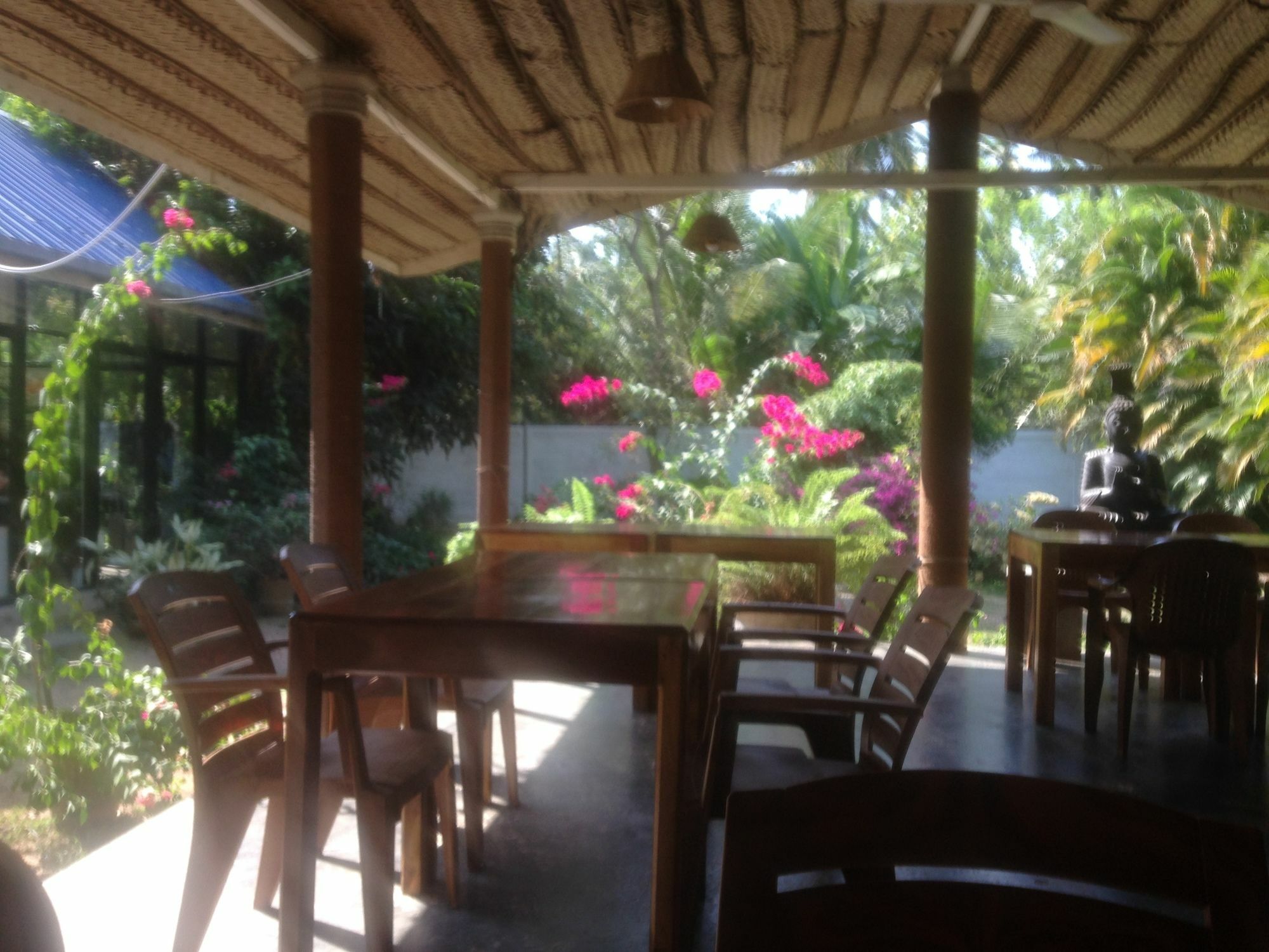 Fire Dragon Hideaway Hotel Negombo Exterior photo