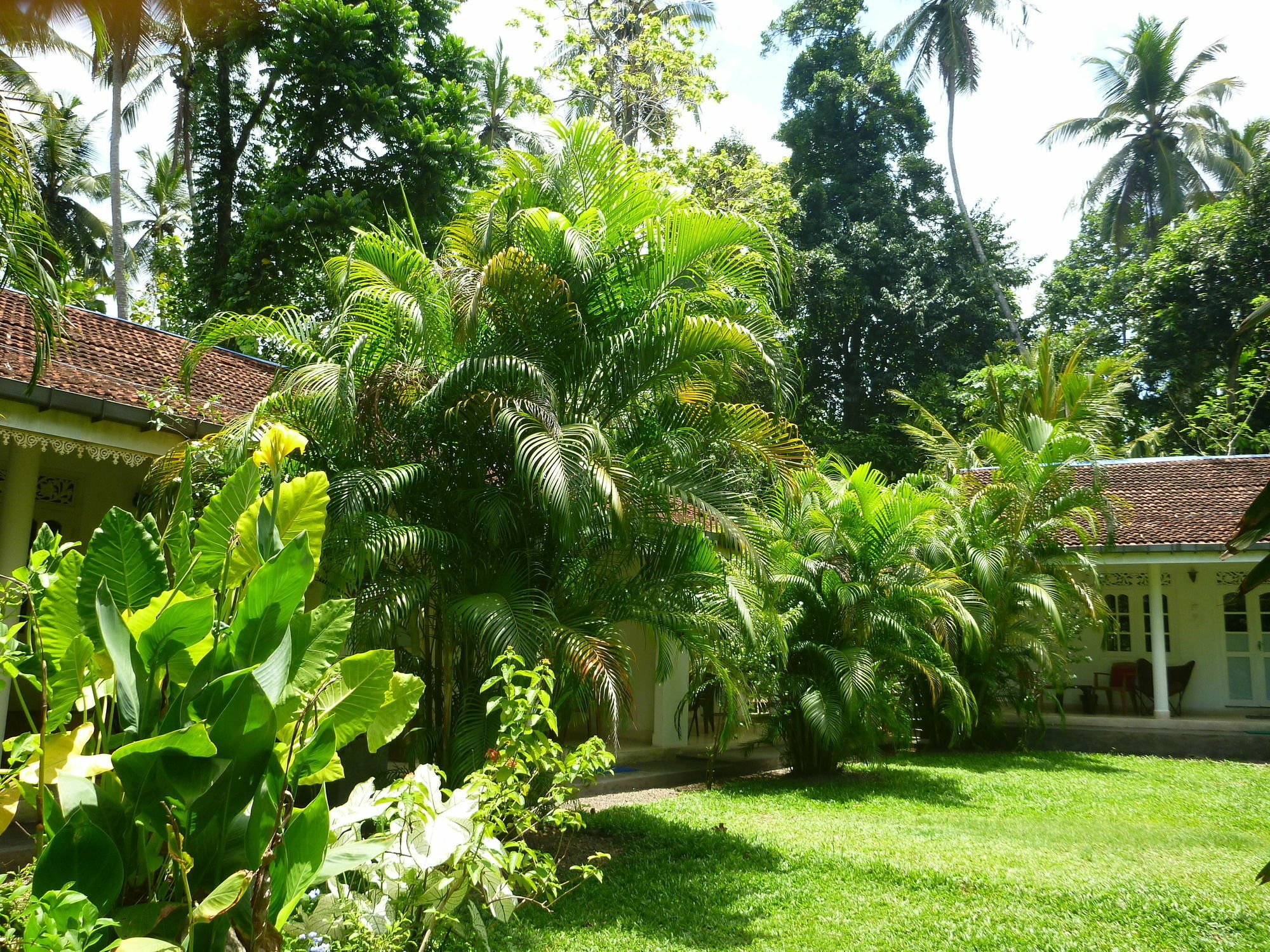 Fire Dragon Hideaway Hotel Negombo Exterior photo